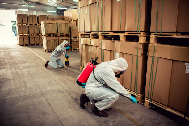 Best Cockroach Control Services  in Belfair, WA