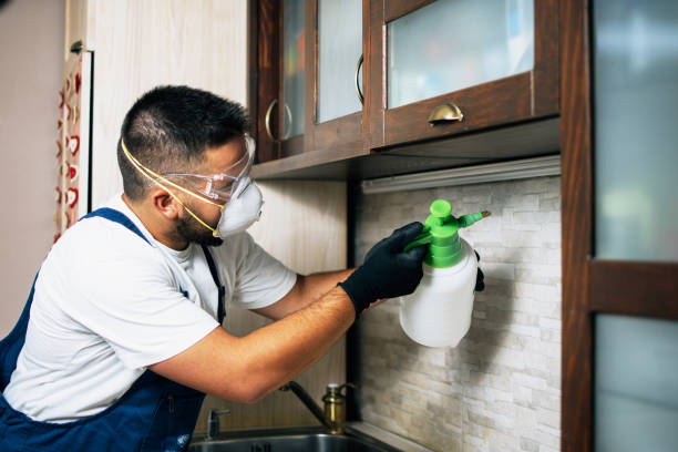 Best Emergency Pest Control  in Belfair, WA