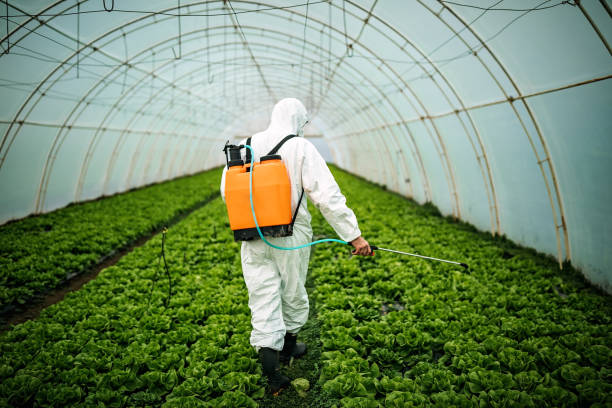 Best Pest Control Near Me  in Belfair, WA