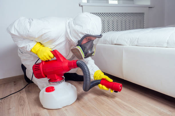Best Affordable Pest Control Services  in Belfair, WA