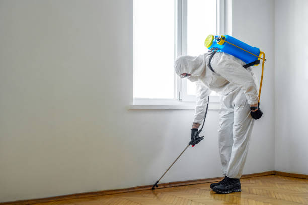 Best Exterminator Services  in Belfair, WA