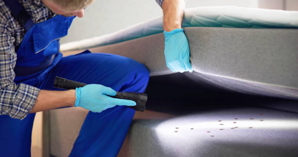 Best Pest Control Near Me in Belfair, WA