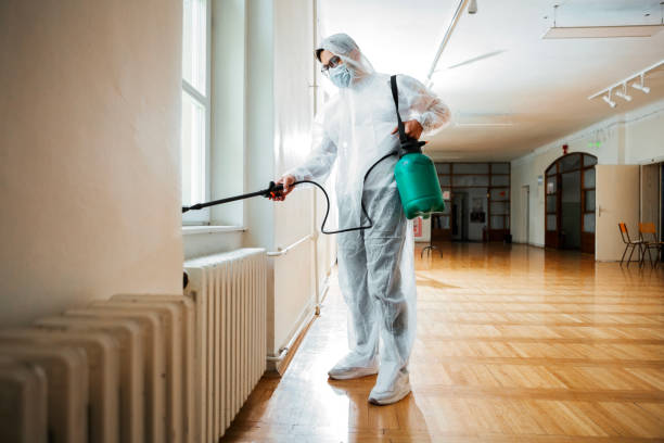 Best Ant Control Services  in Belfair, WA