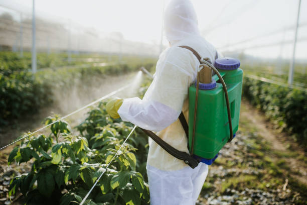Best Insect Control  in Belfair, WA